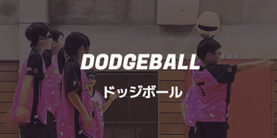 ドッジボール【マイライフスポーツ】